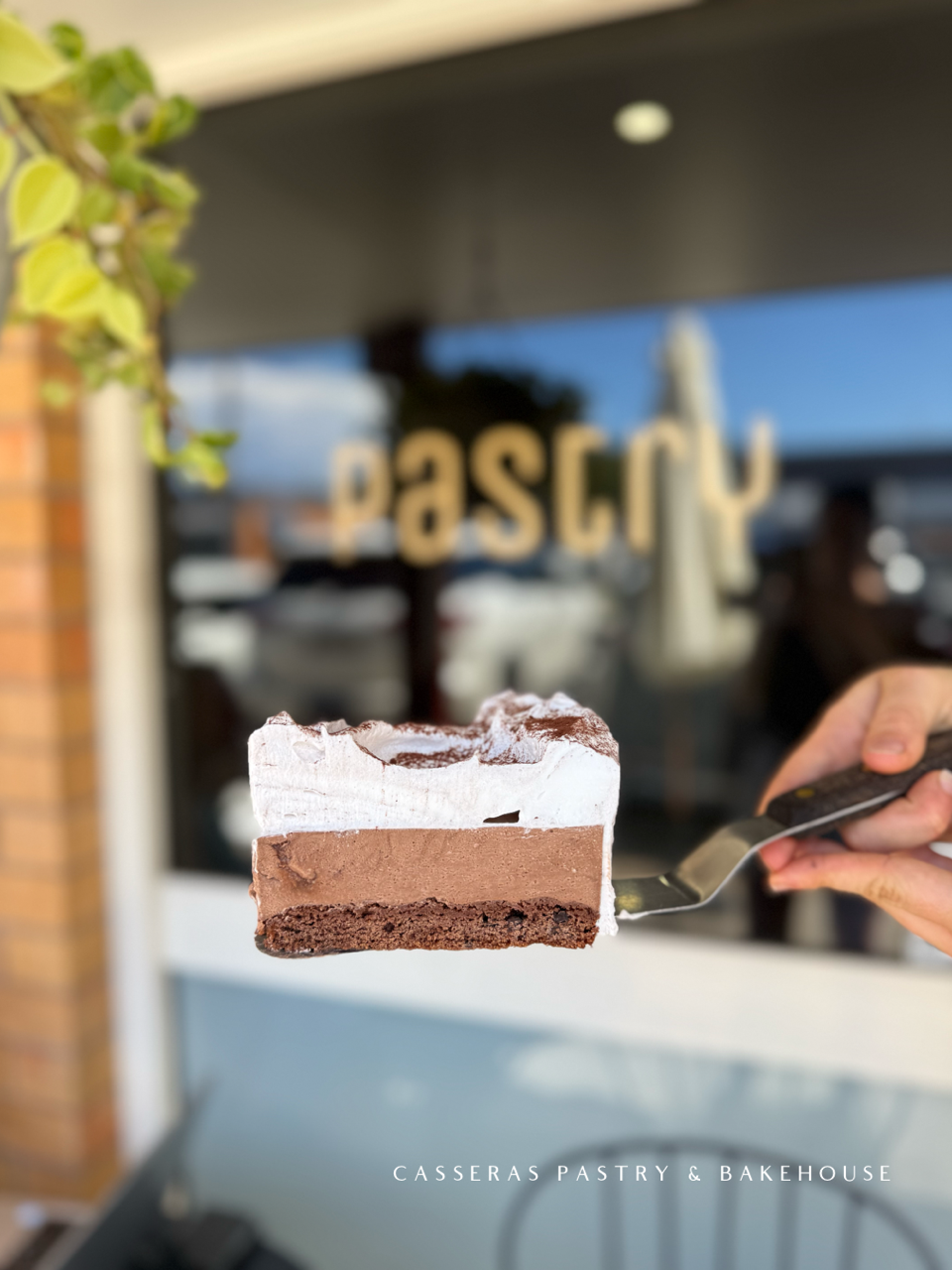 Chocolate Cheesecake with Italian Meringue