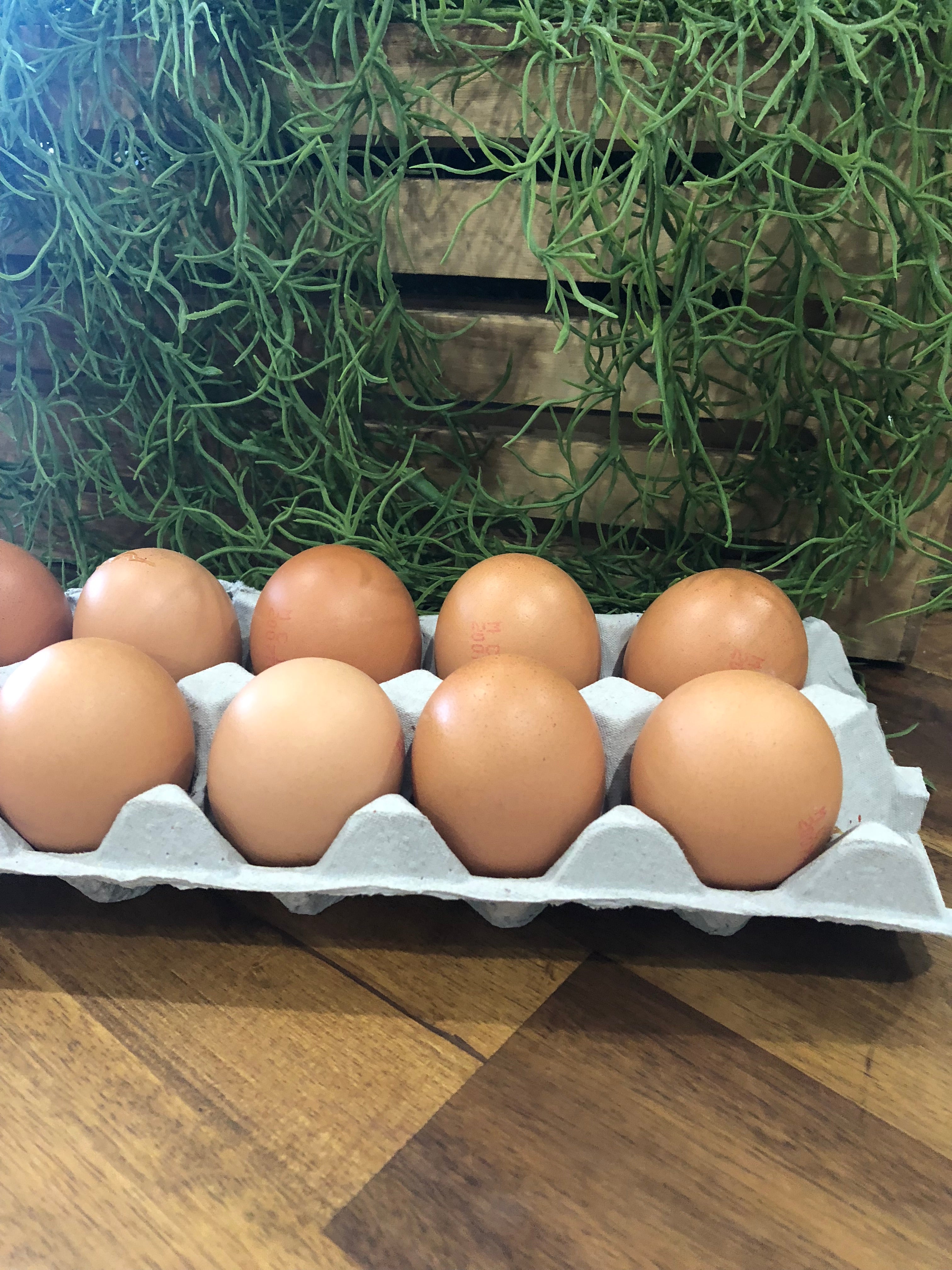 Eggs (1 dozen) Casseras